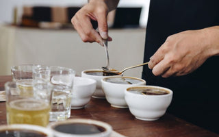 Anticipation Builds: Sapporo Coffee Kan Gears Up for SCAJ (Specialty Coffee Association of Japan) Conference 2023