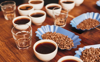 Cup Tasting (also known as Cupping) and Japan Cup Tasters Championship