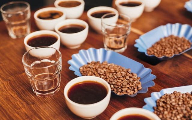 Cup Tasting (also known as Cupping) and Japan Cup Tasters Championship