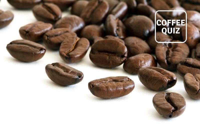 Coffee Bean Types and Their Characteristics