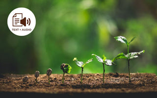 How Soil Affects the Taste of Coffee