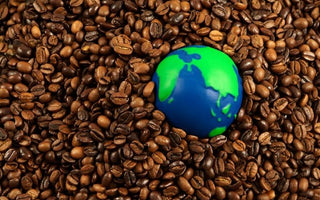 Sustainable Development Goals SGDs and Japanese Coffee