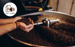 The Characteristics of Premium Coffee Beans