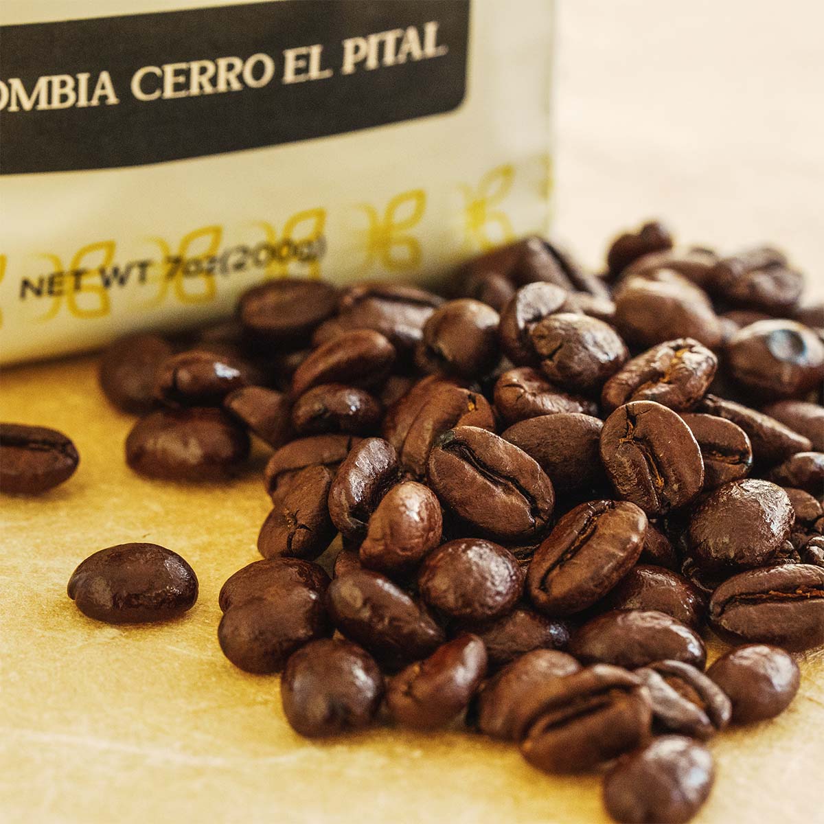 Colombia - Arabica Caturra - Pital-Mountain - Single Origin Premium Coffee Beans