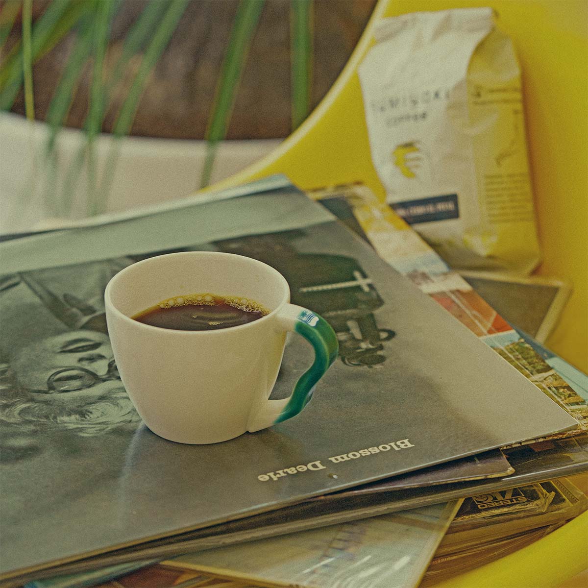 Colombia - Arabica Caturra - Pital-Mountain - Single Origin Premium Coffee