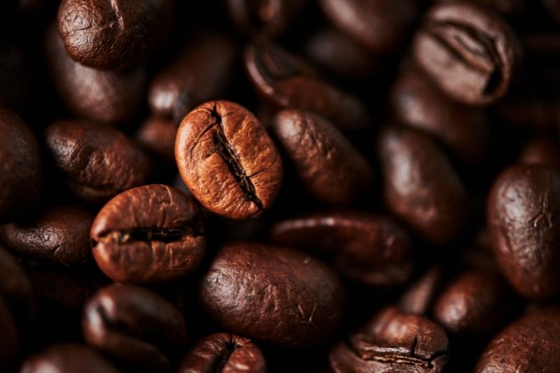Top 10 Most Exotic Premium Coffees
