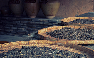 Exploring the World of Compressed Tea and Chinese Tea Cakes