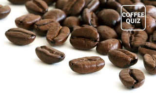 Does Coffee Bean Size matter to your coffee’s taste? – Coffee Quiz