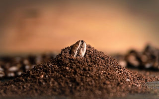 How Grinding Affects the Taste of Coffee