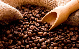 JAS Certification - What is it?