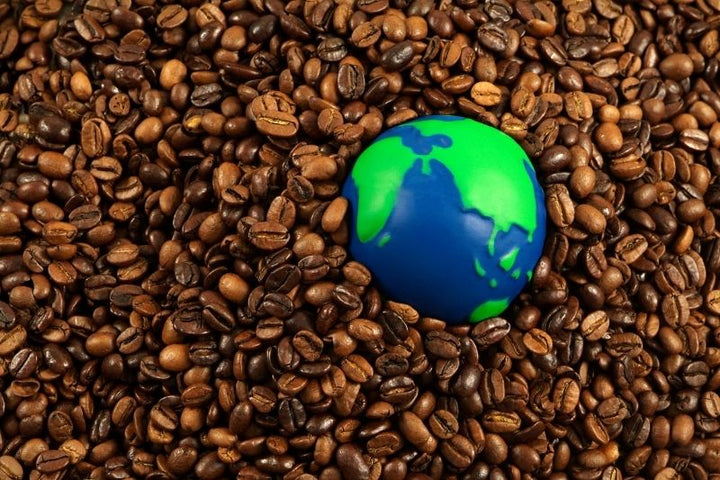 Sustainable Development Goals SGDs and Japanese Coffee