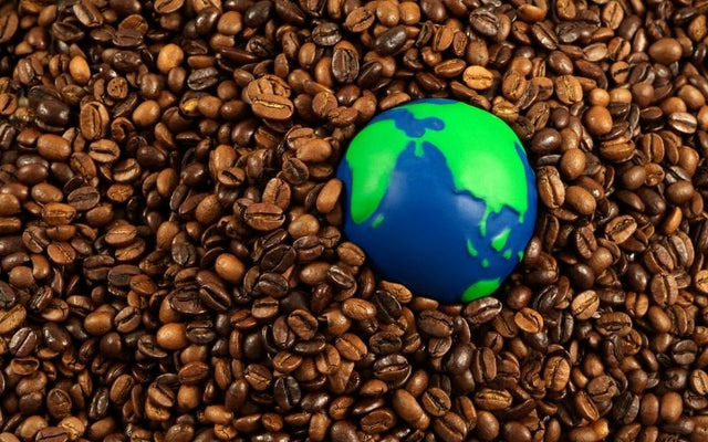 Sustainable Development Goals SGDs and Japanese Coffee