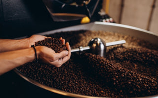 The Characteristics of Premium Coffee Beans