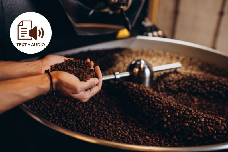 The Characteristics of Premium Coffee Beans