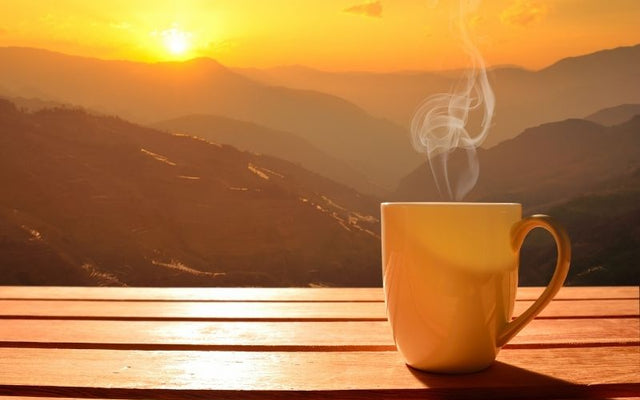 How Climate Affects the Taste of Coffee