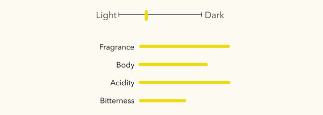 Colombia - Arabica Caturra - Pital-Mountain - Single Origin Premium Coffee
